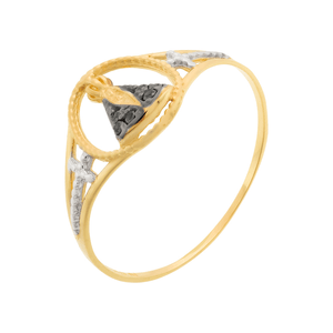Anel Nossa Senhora Aparecida De Ouro 18K
