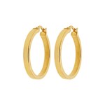 Brinco-de-argola-