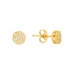 Brinco-Chuveiro-de-Ouro