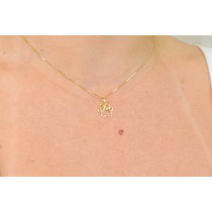 Pingente Patinha De Ouro 18K