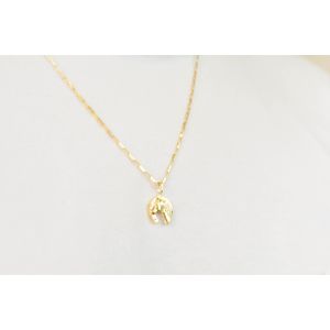 Pingente De Ouro 18K Cavalo e Ferradura