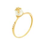 Anel-Ouro-18k