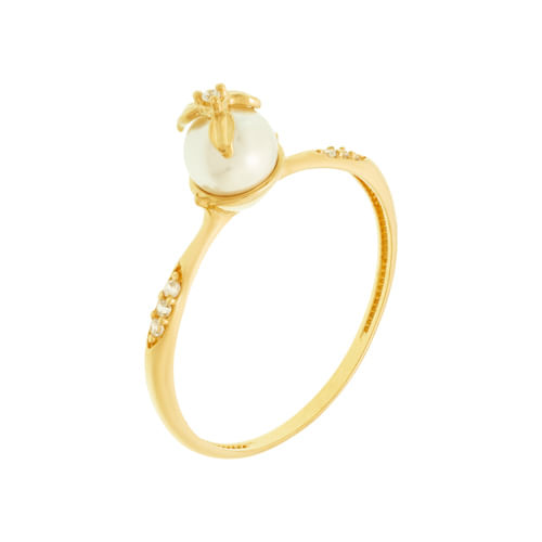 Anel-Ouro-18k
