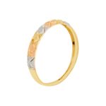 Anel-de-Ouro-18k