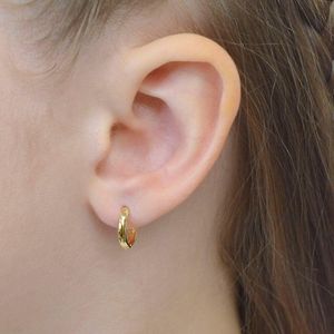 Brinco Argolinha De Ouro 18k