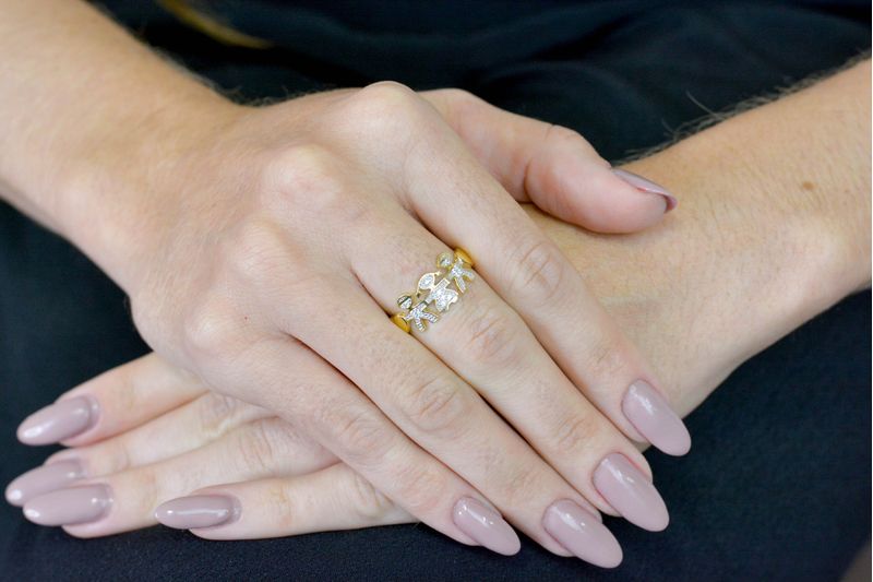 Anel-Ouro-18k