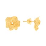 Brinco-de-Ouro-18k