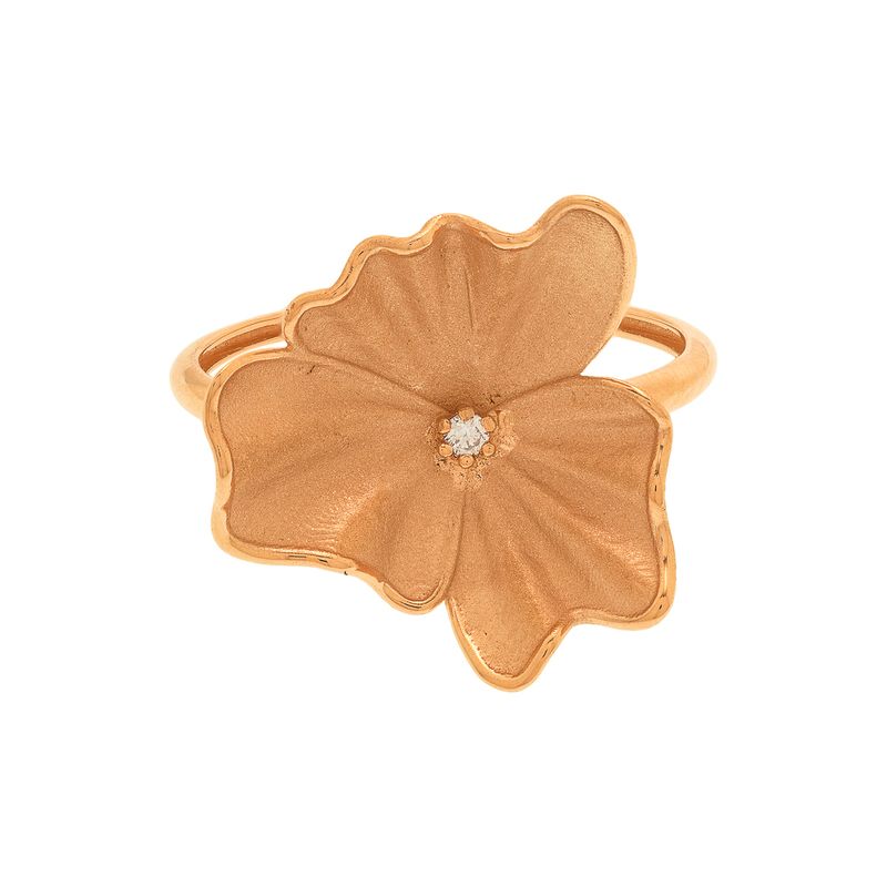Anel-Ouro-18k