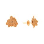 Brinco-de-Ouro-18k