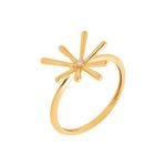 Anel-Ouro-Amarelo-18k