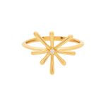 Anel-Ouro-18k