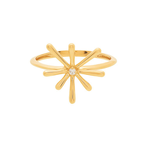 Anel-Ouro-18k