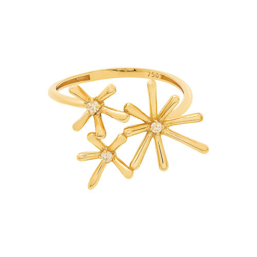 Anel-flor-de-ouro--18k-