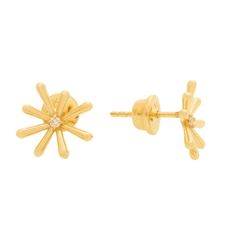 Brinco-Ouro-18k-