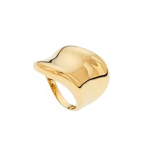 Anel De Ouro 18k Onda Bold