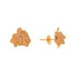 Brinco-de-Ouro-18k