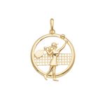 30010619