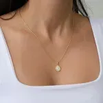 30013073