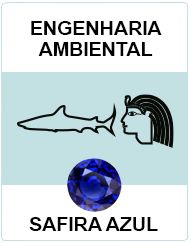 Engenharia Ambiental