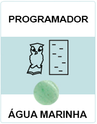 Programador