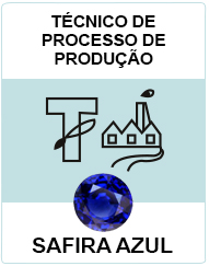 Técnico de Processo de Produção