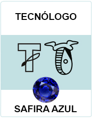 Técnologo