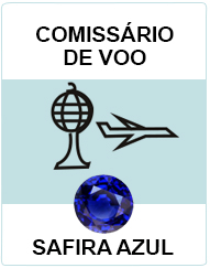 Comissário de Voo 
