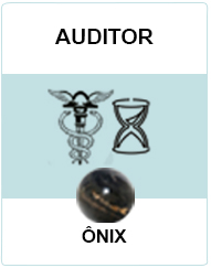 Auditor
