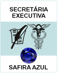 Secretária Executiva