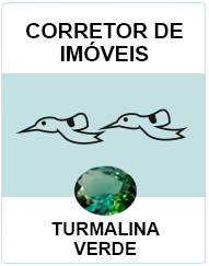 Corretor de Imóveis