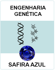 Engenharia Genética