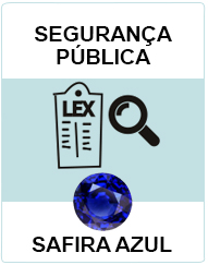 Segurança Pública